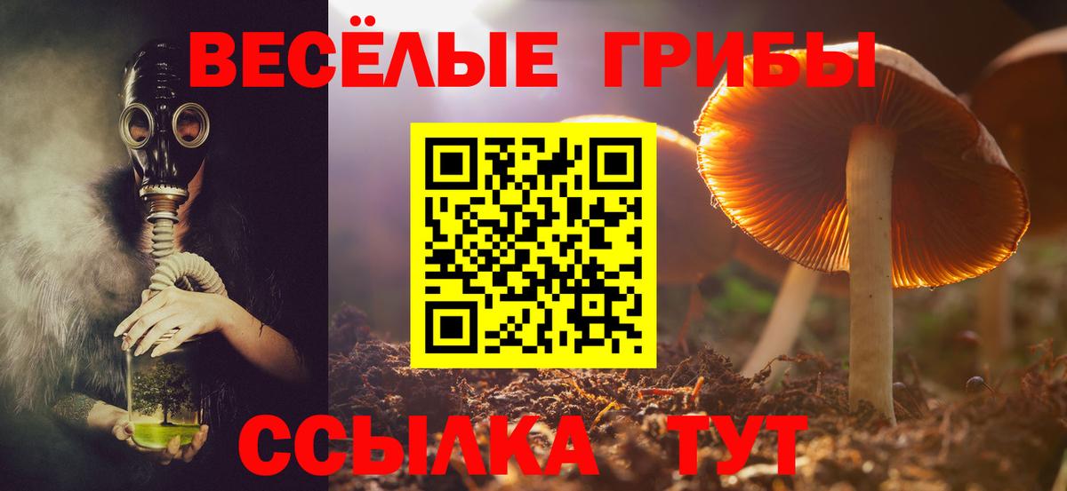 Галлюциногенные грибы Psilocybe  Вход с VPN  Гурьевск 