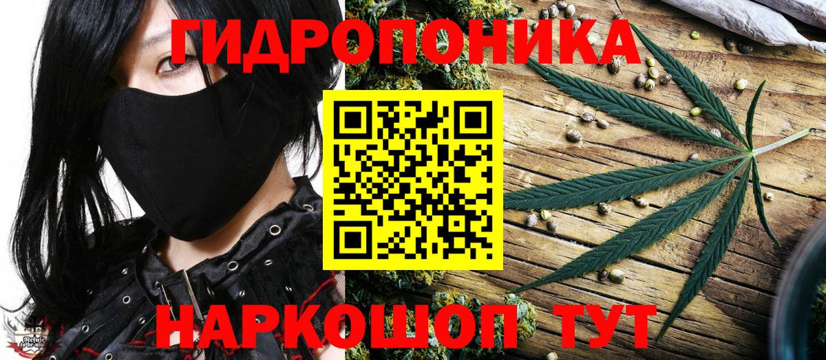 Марихуана планчик Гурьевск